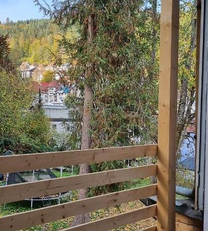 Sm3 Apartment Triberg im Schwarzwald Zewnętrze zdjęcie