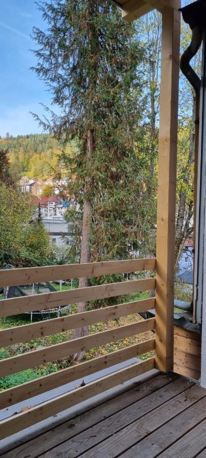 Sm3 Apartment Triberg im Schwarzwald Zewnętrze zdjęcie